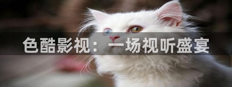 狂飙星空影院免费观看